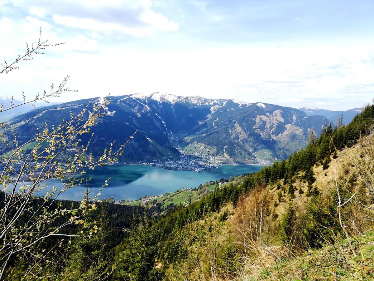 Appartement Haus Sonnenheim Zell am See Zewnętrze zdjęcie